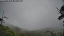 ./images/calvert/fitz-hugh-hecate/20250707/fitz-hugh-hecate20250707_113510M.jpg