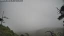 ./images/calvert/fitz-hugh-hecate/20250707/fitz-hugh-hecate20250707_120510M.jpg