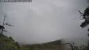 ./images/calvert/fitz-hugh-hecate/20250707/fitz-hugh-hecate20250707_121510M.jpg