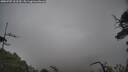 ./images/calvert/fitz-hugh-hecate/20250707/fitz-hugh-hecate20250707_122510M.jpg
