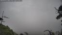 ./images/calvert/fitz-hugh-hecate/20250707/fitz-hugh-hecate20250707_124510M.jpg