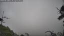 ./images/calvert/fitz-hugh-hecate/20250707/fitz-hugh-hecate20250707_125010M.jpg