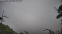 ./images/calvert/fitz-hugh-hecate/20250707/fitz-hugh-hecate20250707_125510M.jpg