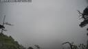 ./images/calvert/fitz-hugh-hecate/20250707/fitz-hugh-hecate20250707_130012M.jpg
