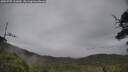 ./images/calvert/fitz-hugh-hecate/20250707/fitz-hugh-hecate20250707_131010M.jpg