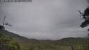 ./images/calvert/fitz-hugh-hecate/20250707/fitz-hugh-hecate20250707_131510M.jpg