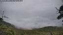./images/calvert/fitz-hugh-hecate/20250707/fitz-hugh-hecate20250707_132010M.jpg