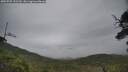 ./images/calvert/fitz-hugh-hecate/20250707/fitz-hugh-hecate20250707_132510M.jpg