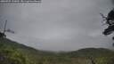 ./images/calvert/fitz-hugh-hecate/20250707/fitz-hugh-hecate20250707_133010M.jpg