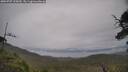 ./images/calvert/fitz-hugh-hecate/20250707/fitz-hugh-hecate20250707_135010M.jpg