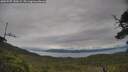 ./images/calvert/fitz-hugh-hecate/20250707/fitz-hugh-hecate20250707_140509M.jpg