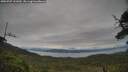 ./images/calvert/fitz-hugh-hecate/20250707/fitz-hugh-hecate20250707_141010M.jpg