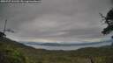 ./images/calvert/fitz-hugh-hecate/20250707/fitz-hugh-hecate20250707_141509M.jpg