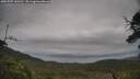./images/calvert/fitz-hugh-hecate/20250707/fitz-hugh-hecate20250707_143510M.jpg