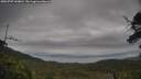 ./images/calvert/fitz-hugh-hecate/20250707/fitz-hugh-hecate20250707_144010M.jpg