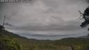 ./images/calvert/fitz-hugh-hecate/20250707/fitz-hugh-hecate20250707_144510M.jpg