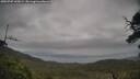 ./images/calvert/fitz-hugh-hecate/20250707/fitz-hugh-hecate20250707_145008M.jpg