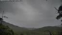 ./images/calvert/fitz-hugh-hecate/20250707/fitz-hugh-hecate20250707_151009M.jpg