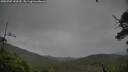 ./images/calvert/fitz-hugh-hecate/20250707/fitz-hugh-hecate20250707_152010M.jpg