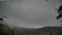 ./images/calvert/fitz-hugh-hecate/20250707/fitz-hugh-hecate20250707_152508M.jpg
