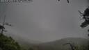 ./images/calvert/fitz-hugh-hecate/20250707/fitz-hugh-hecate20250707_155509M.jpg