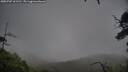 ./images/calvert/fitz-hugh-hecate/20250707/fitz-hugh-hecate20250707_161511M.jpg