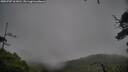 ./images/calvert/fitz-hugh-hecate/20250707/fitz-hugh-hecate20250707_163011M.jpg
