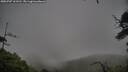 ./images/calvert/fitz-hugh-hecate/20250707/fitz-hugh-hecate20250707_163510M.jpg