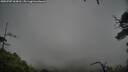 ./images/calvert/fitz-hugh-hecate/20250707/fitz-hugh-hecate20250707_164511M.jpg
