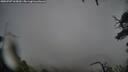 ./images/calvert/fitz-hugh-hecate/20250707/fitz-hugh-hecate20250707_165009M.jpg