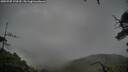 ./images/calvert/fitz-hugh-hecate/20250707/fitz-hugh-hecate20250707_170510M.jpg