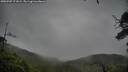 ./images/calvert/fitz-hugh-hecate/20250707/fitz-hugh-hecate20250707_171009M.jpg