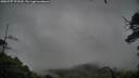 ./images/calvert/fitz-hugh-hecate/20250707/fitz-hugh-hecate20250707_172509M.jpg