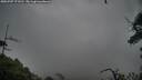 ./images/calvert/fitz-hugh-hecate/20250707/fitz-hugh-hecate20250707_173510M.jpg