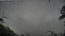 ./images/calvert/fitz-hugh-hecate/20250707/fitz-hugh-hecate20250707_174510M.jpg
