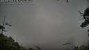 ./images/calvert/fitz-hugh-hecate/20250707/fitz-hugh-hecate20250707_175009M.jpg
