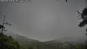 ./images/calvert/fitz-hugh-hecate/20250707/fitz-hugh-hecate20250707_175510M.jpg