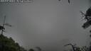 ./images/calvert/fitz-hugh-hecate/20250707/fitz-hugh-hecate20250707_180011M.jpg