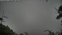 ./images/calvert/fitz-hugh-hecate/20250707/fitz-hugh-hecate20250707_180510M.jpg