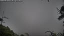./images/calvert/fitz-hugh-hecate/20250707/fitz-hugh-hecate20250707_182510M.jpg