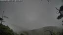 ./images/calvert/fitz-hugh-hecate/20250707/fitz-hugh-hecate20250707_183509M.jpg