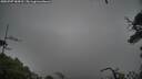 ./images/calvert/fitz-hugh-hecate/20250707/fitz-hugh-hecate20250707_184510M.jpg