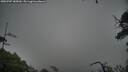 ./images/calvert/fitz-hugh-hecate/20250707/fitz-hugh-hecate20250707_185010M.jpg
