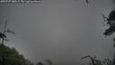 ./images/calvert/fitz-hugh-hecate/20250707/fitz-hugh-hecate20250707_185508M.jpg