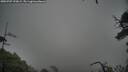 ./images/calvert/fitz-hugh-hecate/20250707/fitz-hugh-hecate20250707_190009M.jpg
