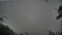 ./images/calvert/fitz-hugh-hecate/20250707/fitz-hugh-hecate20250707_190509M.jpg