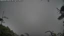 ./images/calvert/fitz-hugh-hecate/20250707/fitz-hugh-hecate20250707_191008M.jpg