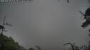 ./images/calvert/fitz-hugh-hecate/20250707/fitz-hugh-hecate20250707_191508M.jpg