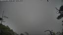 ./images/calvert/fitz-hugh-hecate/20250707/fitz-hugh-hecate20250707_192008M.jpg