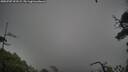 ./images/calvert/fitz-hugh-hecate/20250707/fitz-hugh-hecate20250707_192508M.jpg